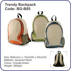 Trendy Backpack Bag BG-B85